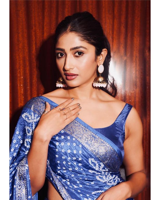 Roshni Prakash Glamorous Looks