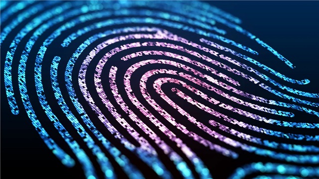 Google’s New Digital Fingerprinting System